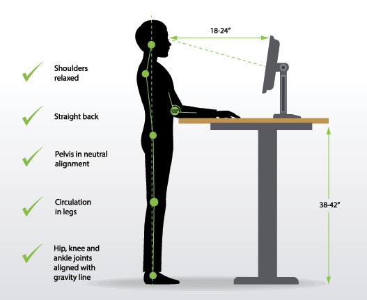 How To Determine Your Ideal Standing Desk Height StandingDeskGeek